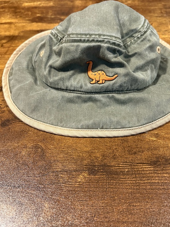 Gymboree Other - Vintage Gymboree Olive Green 100% Cotton Bucket Hat with Dinosaur Detail 18th-3t